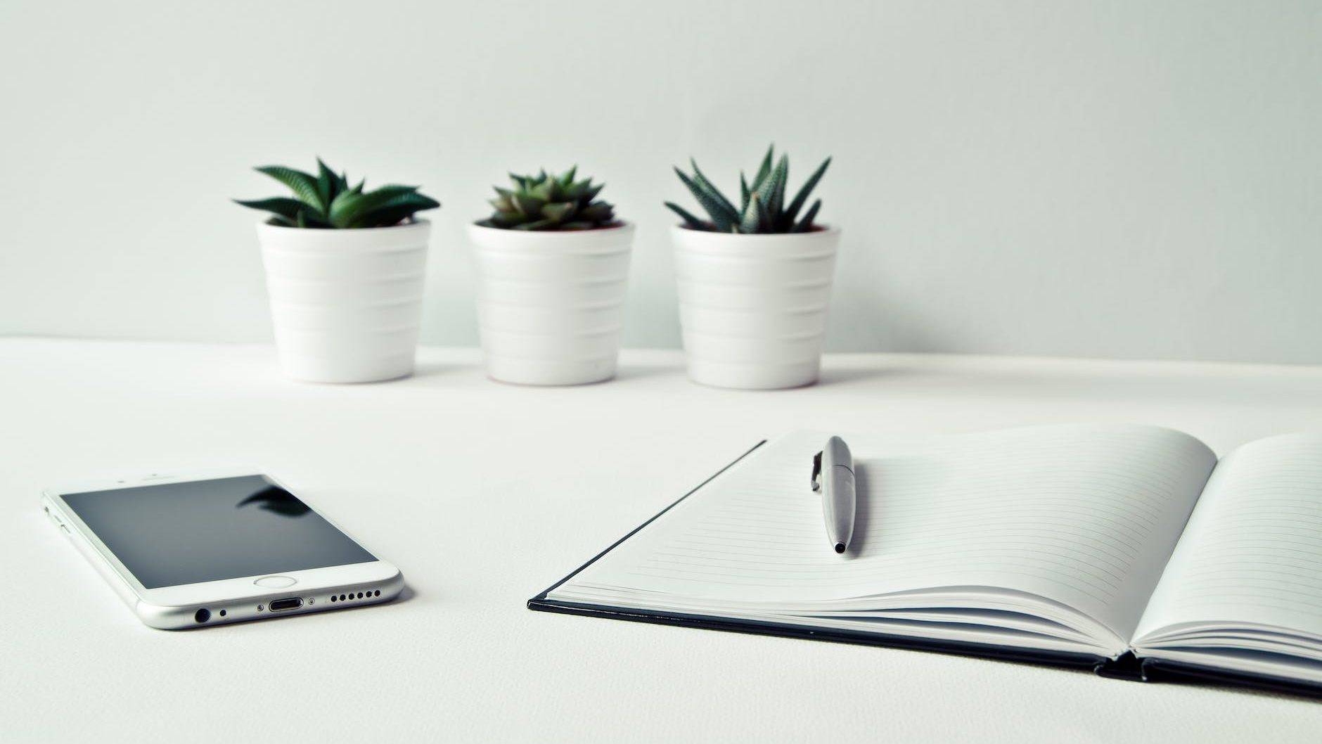 Should I build a business on values?